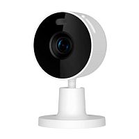 IP-Камера Xiaomi Smart Camera C100 (MJSXJ25CM) Global