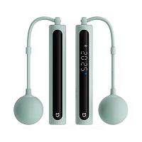 Умная скакалка Xiaomi Mijia Smart Skipping Rope 2 (MJTS02YM) CN
